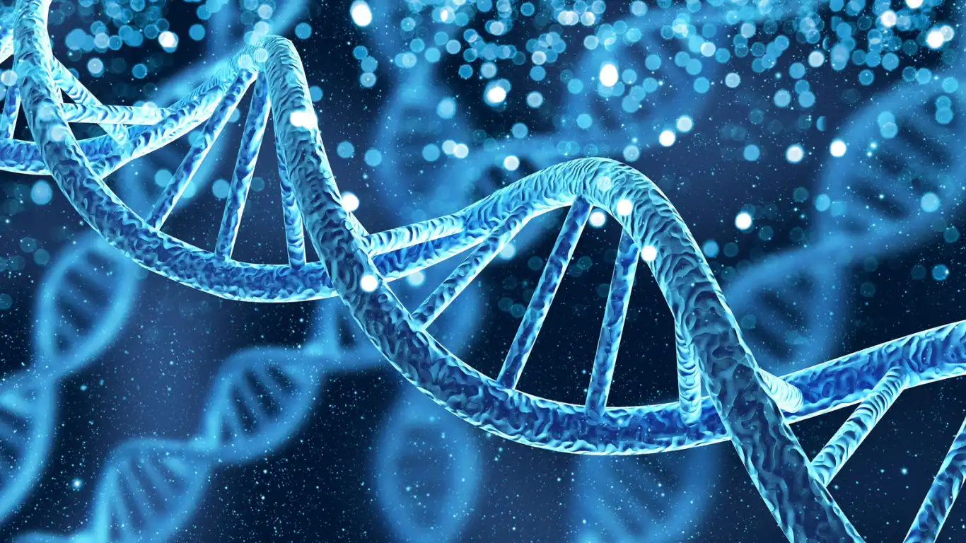 Genetic DNA
